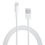 USB-A / Lightning kabel za napajanje i sinkronizaciju za iPhone / iPad / iPod / AirPods - 1 m - bijela