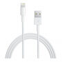 Original Apple USB-A / Lightning kabel za iPhone / iPad / iPod / Airpods - 2 m - bijela